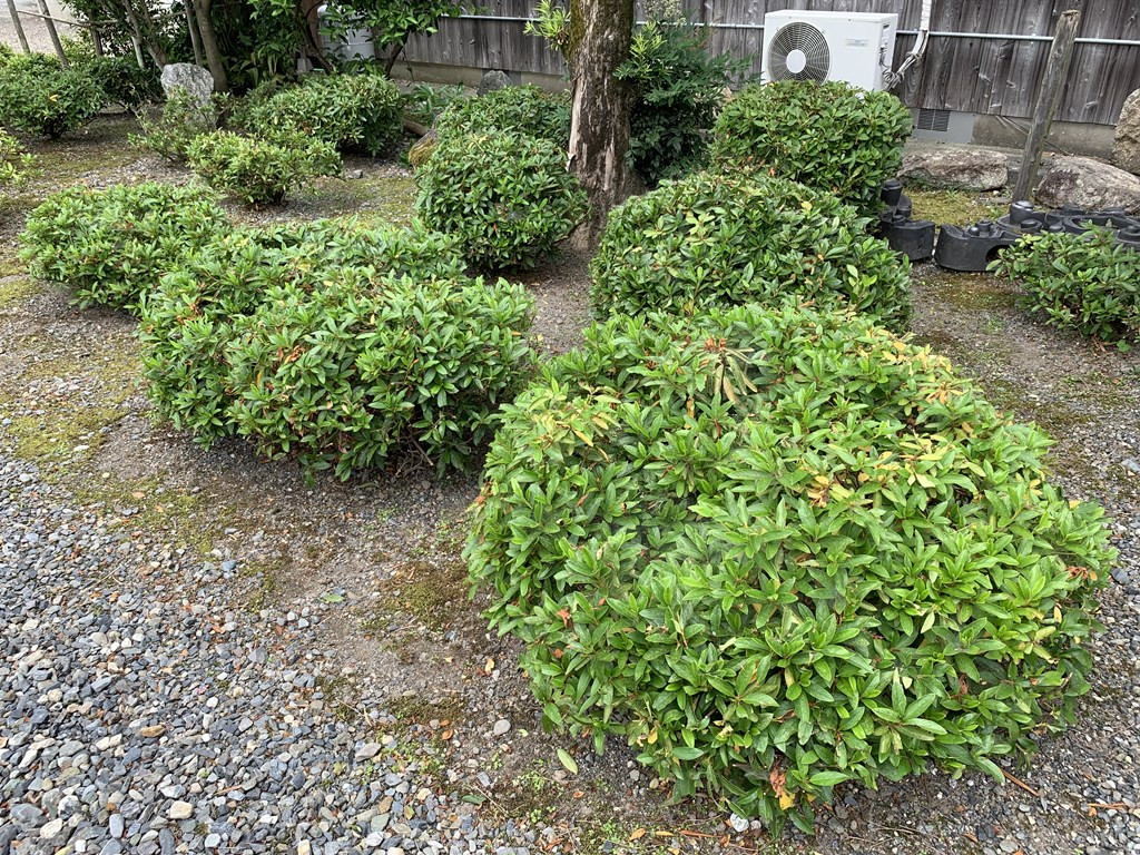 お墓、納骨、永代供養は是非、自然豊かな滋賀県高島市へ